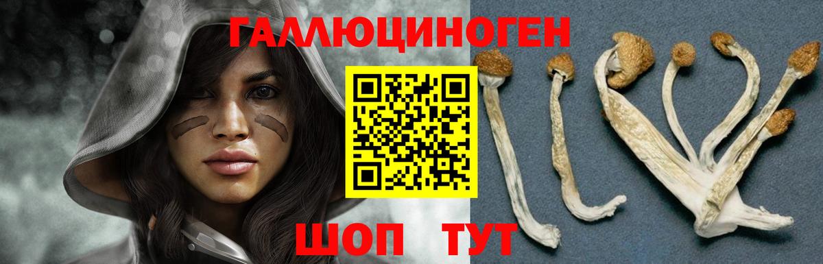Псилоцибиновые грибы мухоморы  Галлюциногенные грибы Psilocybe  наркота  Липецк  Вход с VPN 